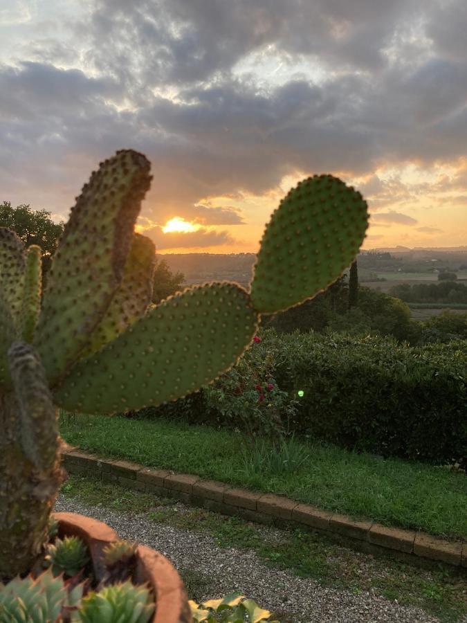 Sunset Hill - Tuscany - & Private Pool Holiday home *