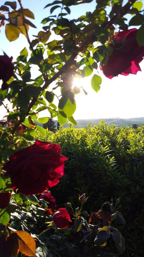 Sunset Hill - Tuscany - & Private Pool Holiday home *