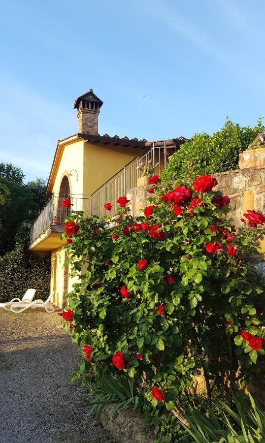 Sunset Hill - Tuscany - & Private Pool Holiday home Castelfiorentino