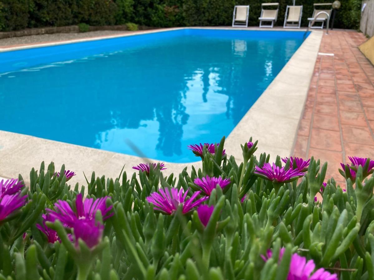Sunset Hill - Tuscany - & Private Pool Holiday home *