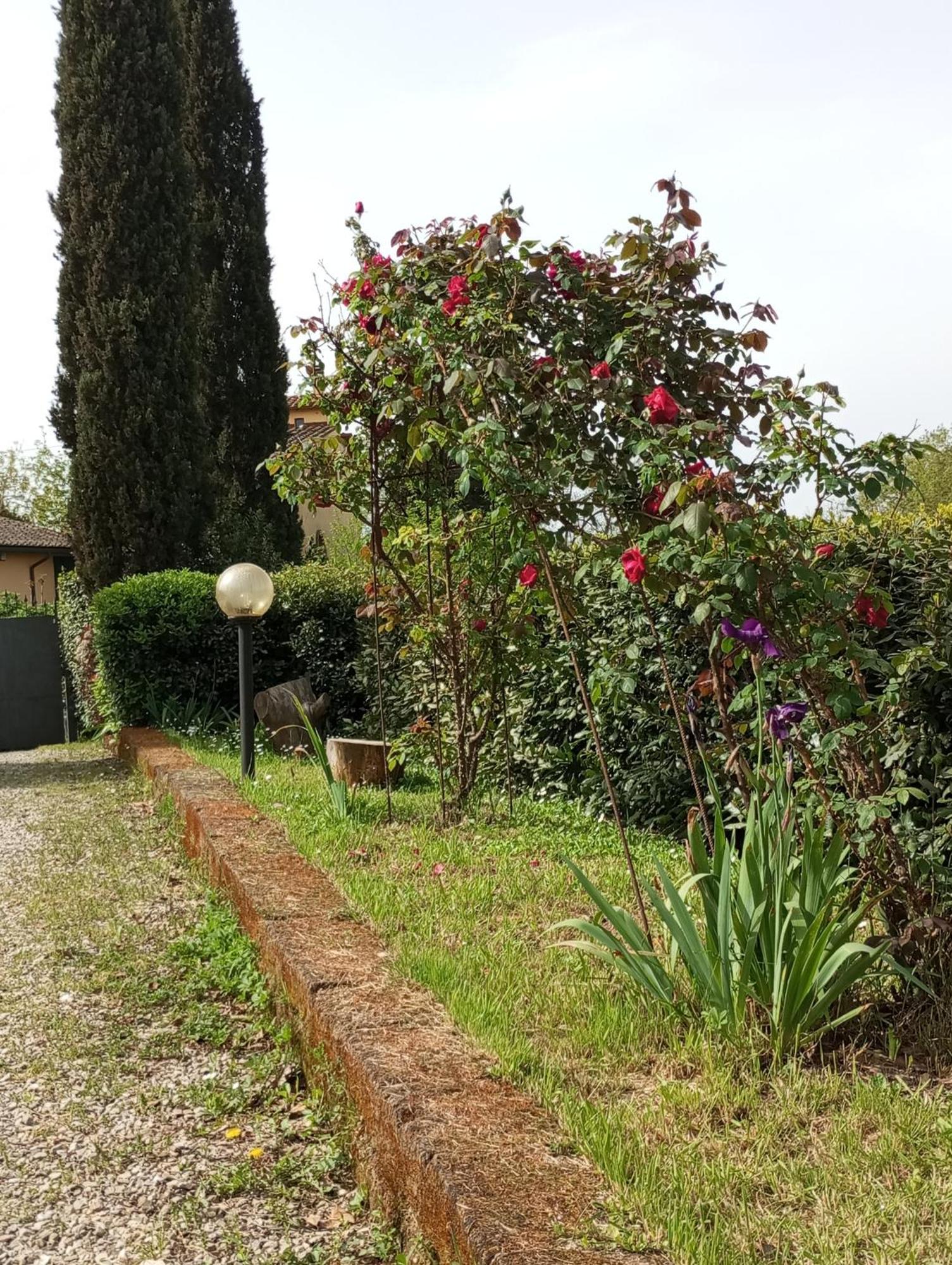 Holiday home Sunset Hill - Tuscany - & Private Pool Castelfiorentino